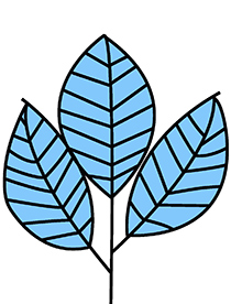 Yunus Social Business Centre at Azerbaijan State University of Economics (UNEC)